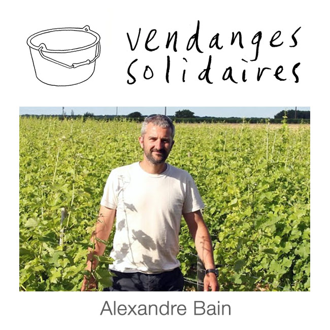 Alexandre Bain - Domaine Alexandre Bain