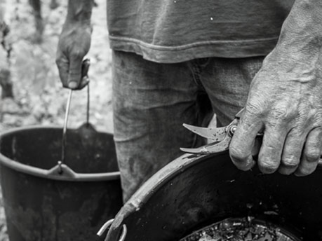 Les vignerons
