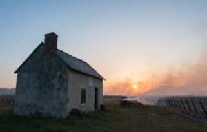 Gel 2017 à Montlouis-sur-Loire