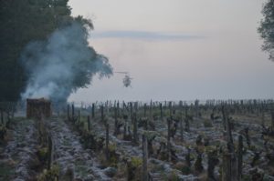 Gel 2017 à Montlouis-sur-Loire