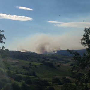 Incendie de garrigue