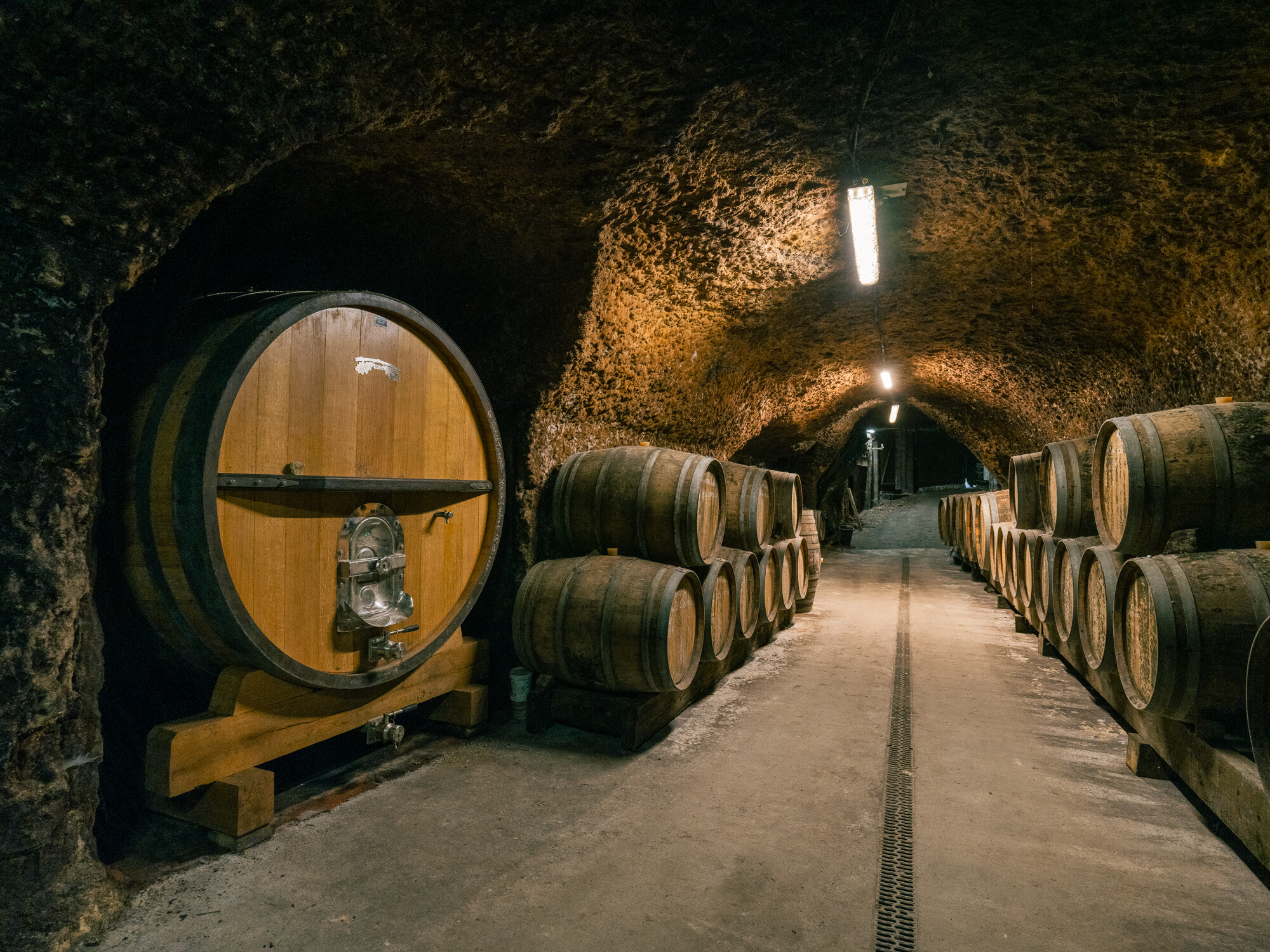 Vin Les Terres Turones 2023 - Domaine de la Croix Mélier, Val de Loire