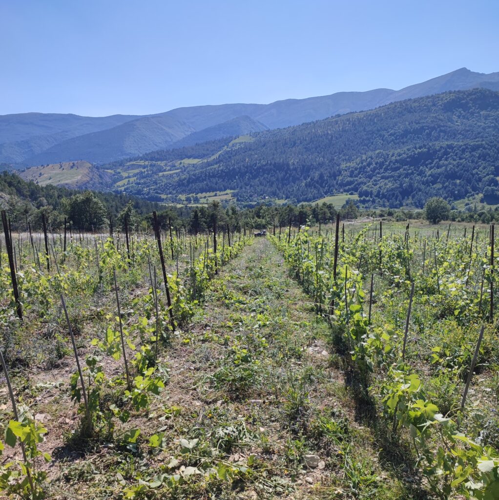 Domaine de la Page Blanche