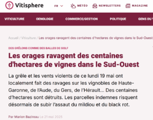 Vitisphère pour Vendanges Solidaires