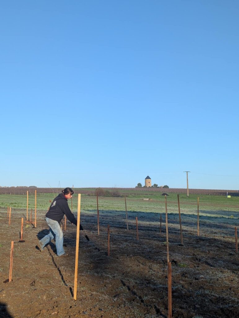 Domaine Ménard Gaborit