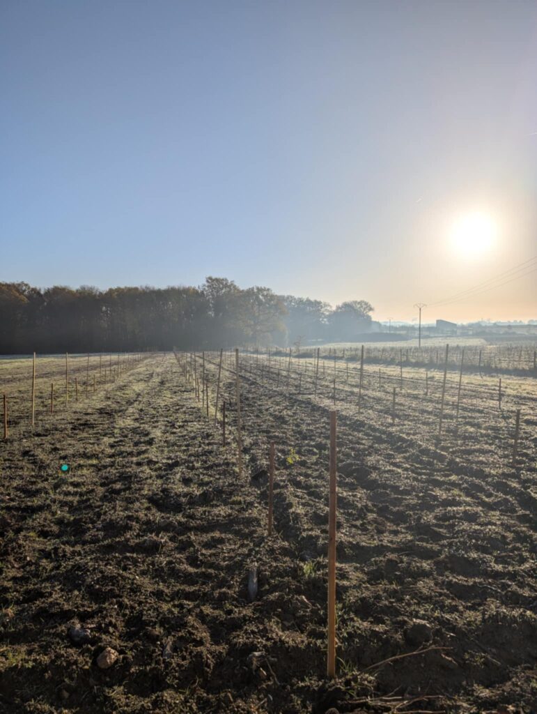 Domaine Ménard Gaborit